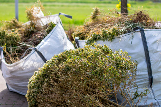 Best Construction Debris Removal  in Sea Bright, NJ